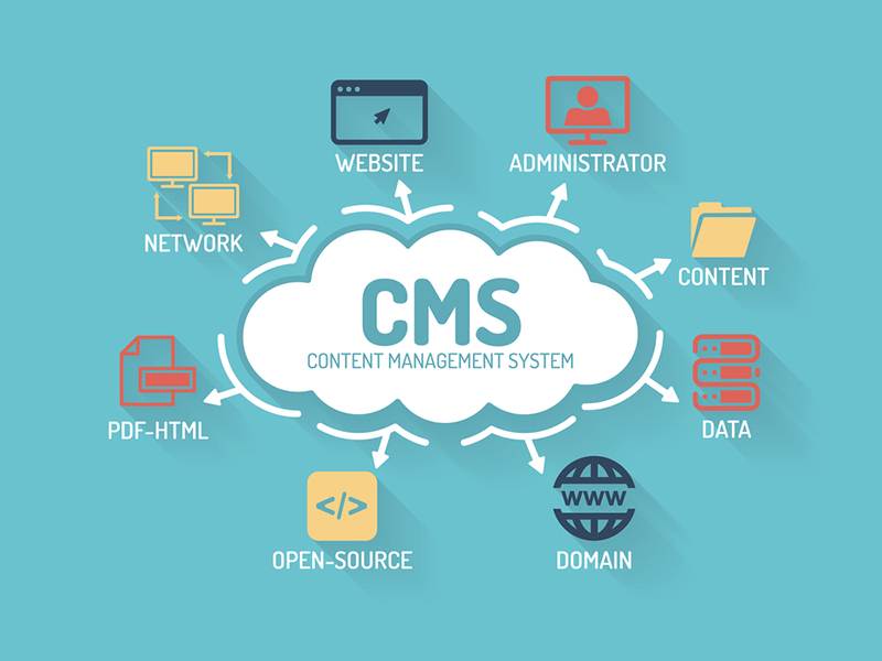 Custom CMS Development Services in Brighton, Uk - Scalable Content Management Solutions